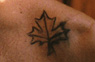 Maple Leaf Detail