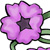 purple star - centered flowers..