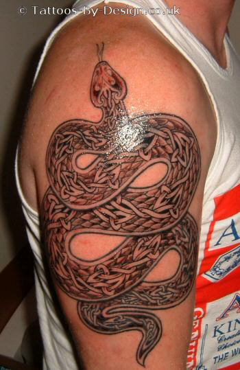 Celtic Snake