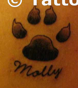 In memory of Molly