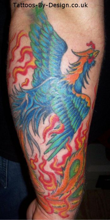 Phoenix  tattoo on forearm