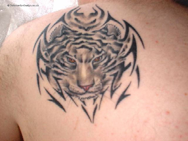 Tribal Tiger