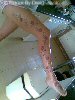 leg design